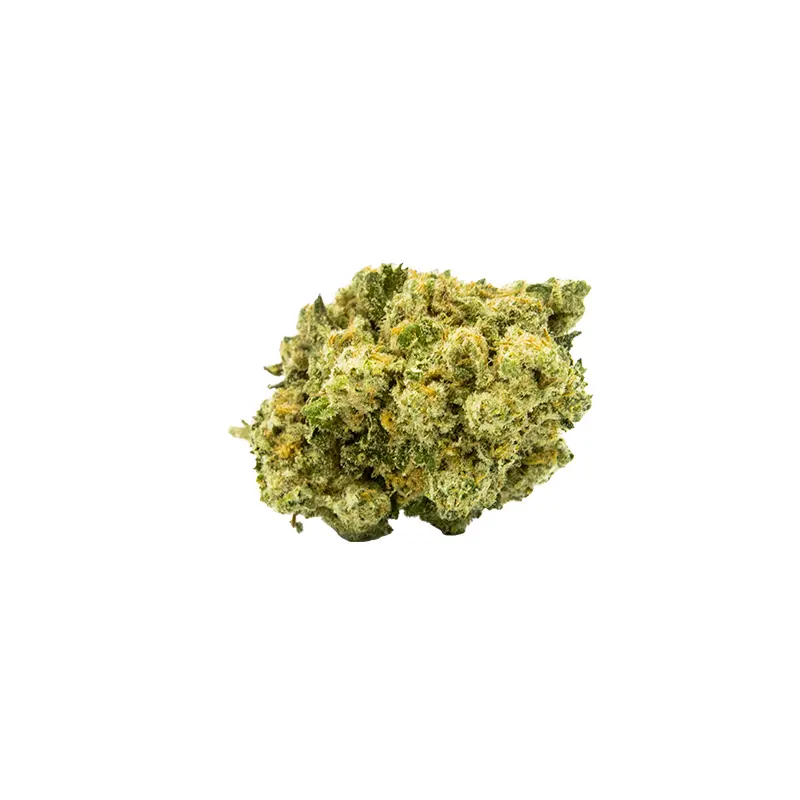 infusion-fleurs-cbd-vrac-amnesia-hydro (1).webp