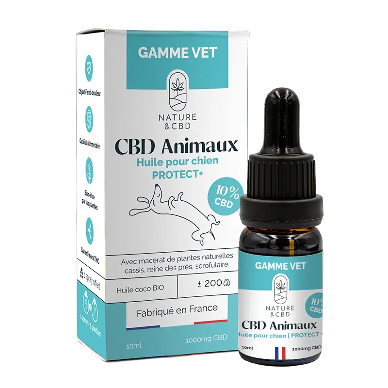 Huile CBD Animaux Protect+ 10% - Chiens