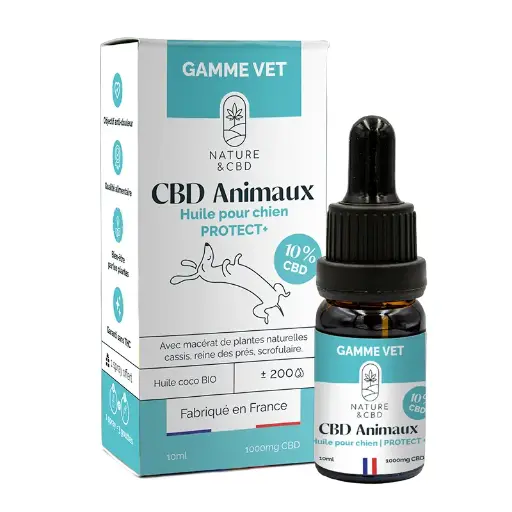 Huile CBD Animaux Protect+ 10% - Chiens