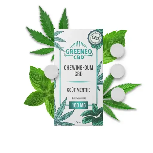 Chewing-gum menthe